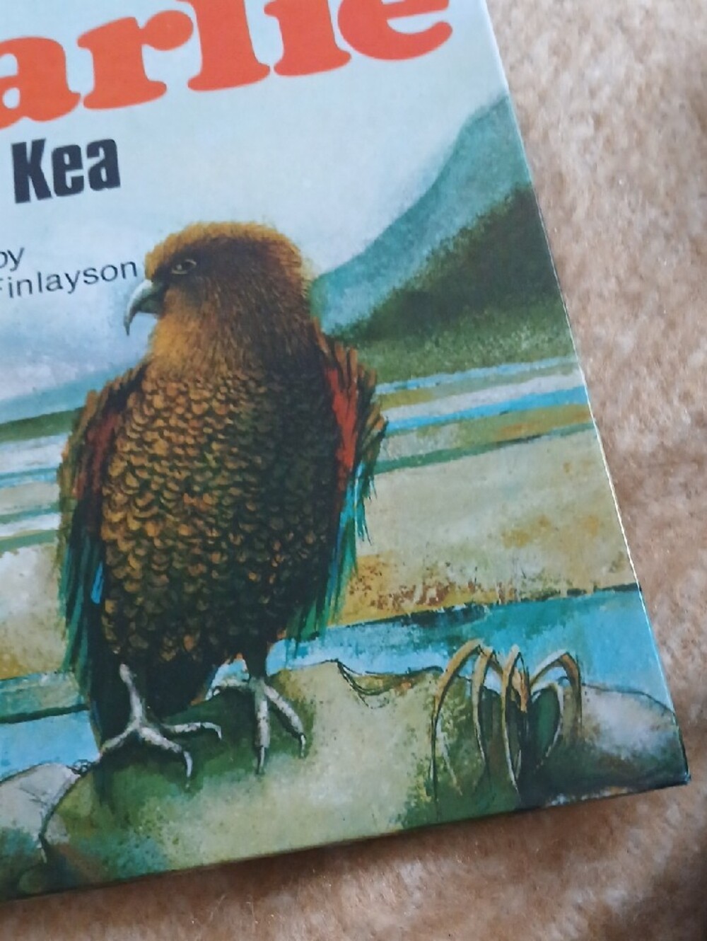 Charlie the Cheeky Kea Children's Book - Illustrated Edition (Green/Brown) - Picture 2 of 5
